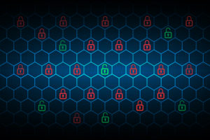 data privacy
