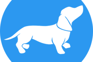 playposit app