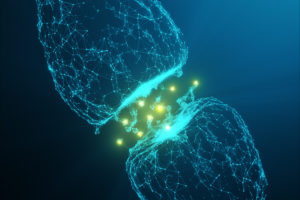brain science