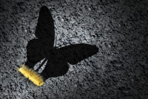 Answering the question, "why should education change" is straightforward, but also complicated.