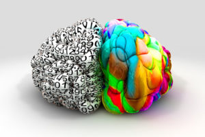 The two sides of the brain illustrate left and right brain concepts--both are used to cultivate a maker mindset.