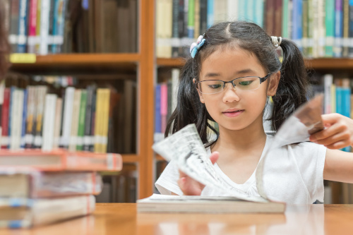 reading comprehension and literacy development are key