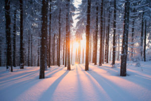 With a vast video library and the chance to customize lessons for students, TED-Ed Lessons can be incorporated into all topic areas.