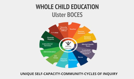 A whole-child approach to special education begins with core values, engages a panoply of stakeholders, and continues with cycles of inquiry.