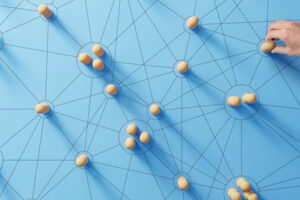 Ensuring success for all students means paying attention to critical elements needed to build students' networks and social capital.