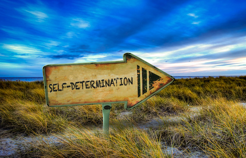 Leveraging the self-determination theory can help students reignite their passion for learning and empowers students to thrive.