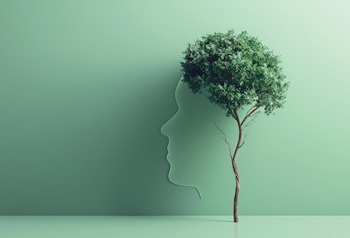 Gains in confidence, skills, and mindset set the stage for future success for all students--and for a strong growth mindset.