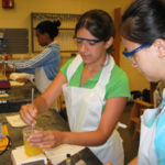 A Bayer Corporation survey found that women and minorities need to be encouraged to pursue STEM fields from an early age.