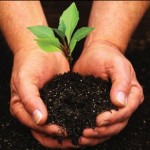 Universities are touting green initiatives to draw eco-conscious students. 