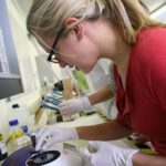 Schools and universities urged the bill's passing for STEM funding.
